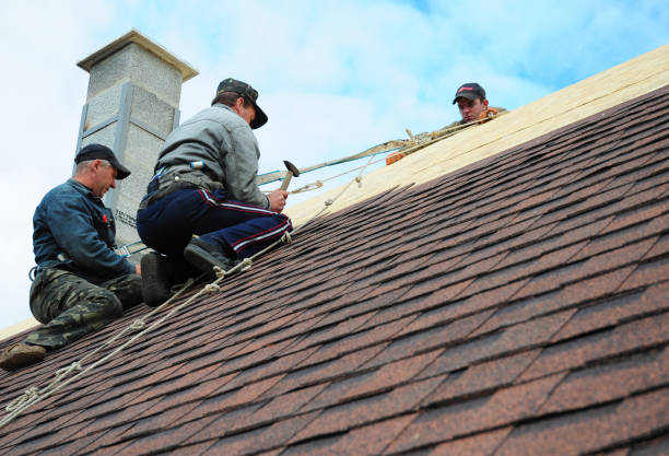 Best Tile Roofing Contractor  in Seth Ward, TX
