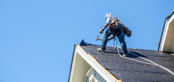 Best Metal Roofing Contractor  in Seth Ward, TX